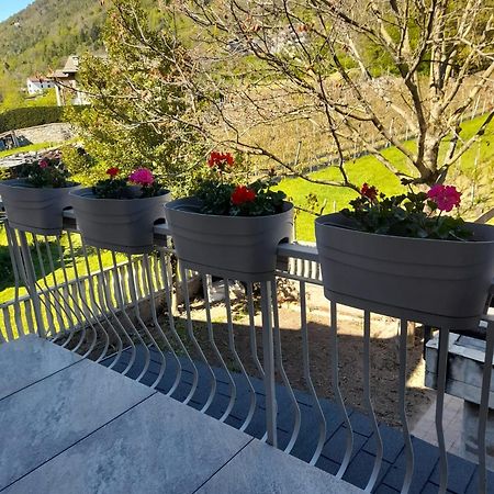 La Casetta Di Campagna Mazzo di Valtellina 외부 사진