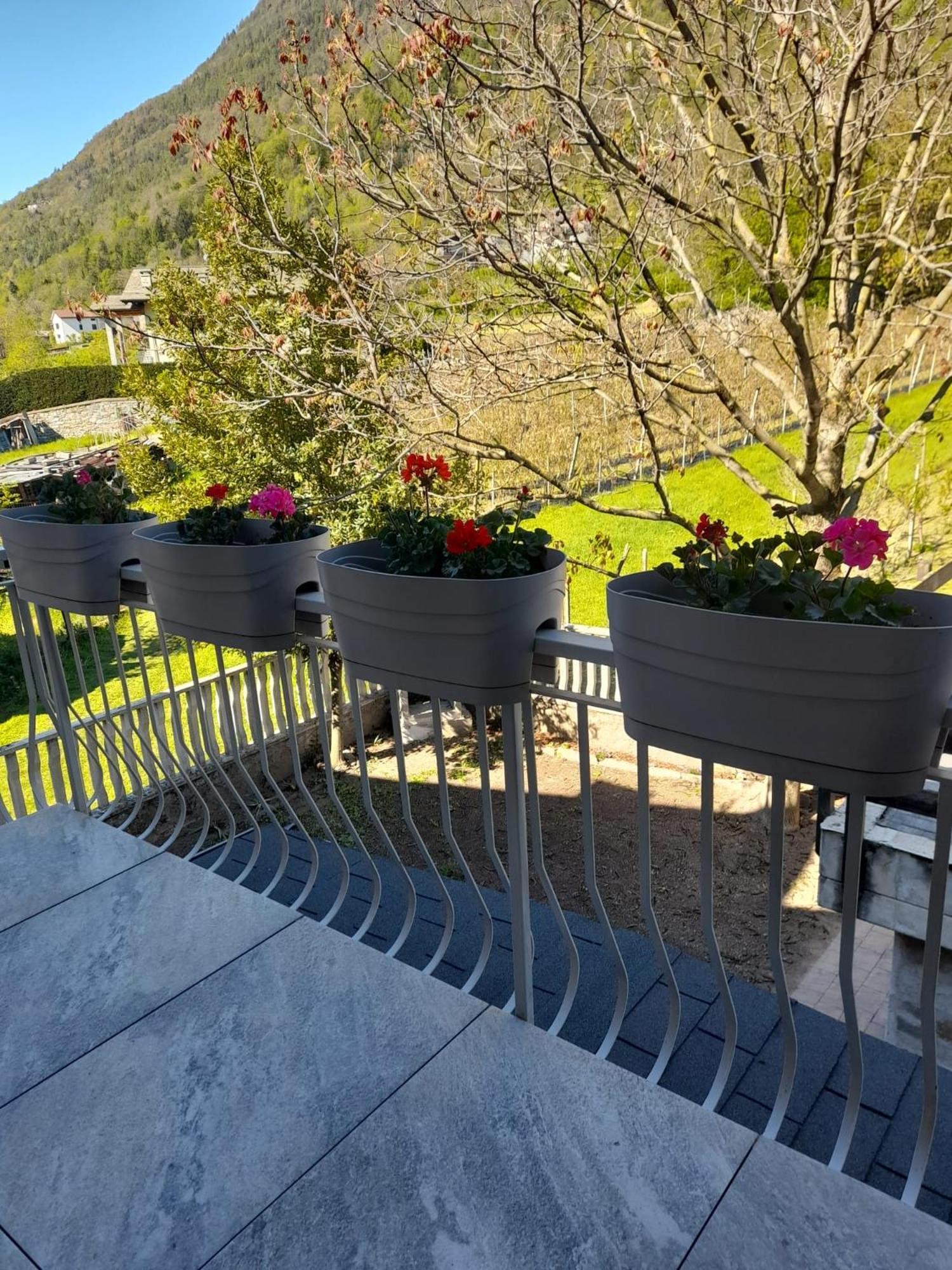 La Casetta Di Campagna Mazzo di Valtellina 외부 사진